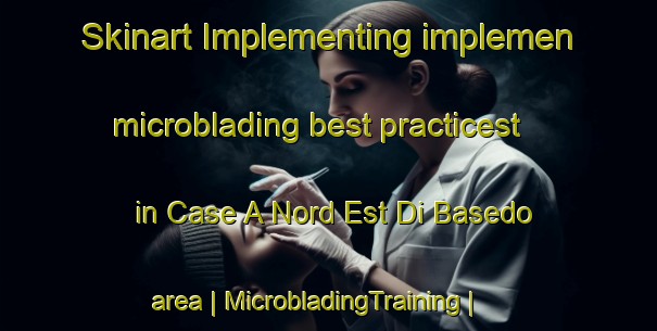 Skinart Implementing implemen microblading best practicest in Case A Nord Est Di Basedo area | MicrobladingTraining | MicrobladingClasses | SkinartTraining-Italy